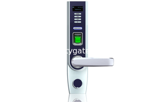 Real Estate / Building Optical Biometric Fingerprint Door Lock 500 User